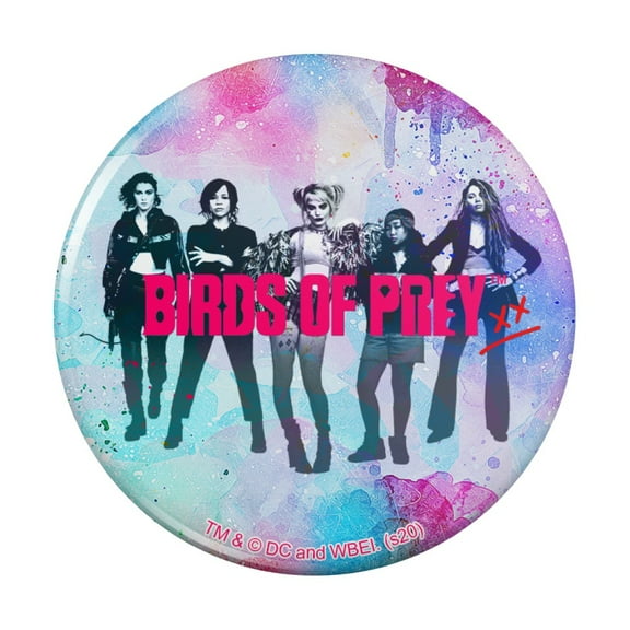 Birds of Prey Ladies Pinback Button Pin