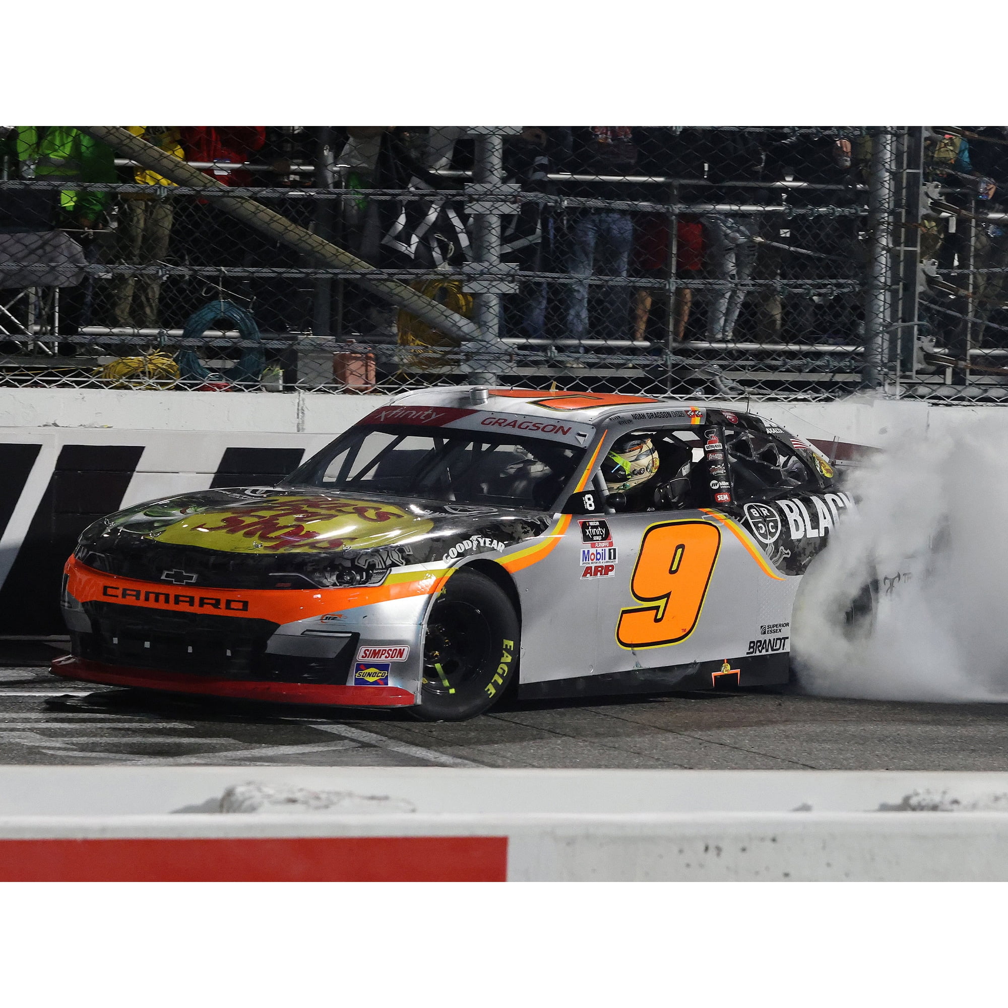 入荷中 Kyle Busch Energy Monster 1:24 M&M's #18 2017 Racing Action ミニカー