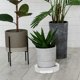 thumbnail image 3 of Plant Tray with Wheels Planter Holder Planter Stand Flowerpot Tray Garden Balcony Rolling Flowerpot Tray, 3 of 4