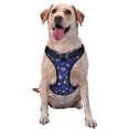 thumbnail image 1 of Balery Golden Snowflakes Royal Blue Arnés para Perros Grandes Antitirones, Arnés con Correa para Gato, Arnés Tipo Chaleco para Perros Pequeños-X-Large, 1 of 6