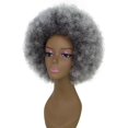 thumbnail image 3 of LUXLUXE Taylor 14" Curly Full Cap Synthetic Wig, Heat-Resistant Fiber Charcoal Mixed Gray Hair for Party & Daily Wear, 3 of 8
