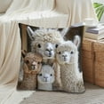 thumbnail image 4 of Alpaca Print Pillow Cover 18x18 Inches Soft Throw Pillow Case Cushion Cover Decorative Pillowcase for Sofa Living Room Bedroom Decor Multicolor, 4 of 5