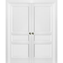 French Double Pocket Doors 72 x 80 with Frames