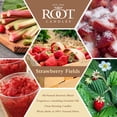 thumbnail image 3 of ROOT Candles 12 oz 3-Wick Signature Honeycomb filled Jar. Scent: Strawberry Fields, 3 of 4