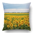 thumbnail image 1 of ABPHQTO Campo de girasoles florecientes y cielo nublado Funda de almohada Funda de cojín 45x45 cm, 1 of 1