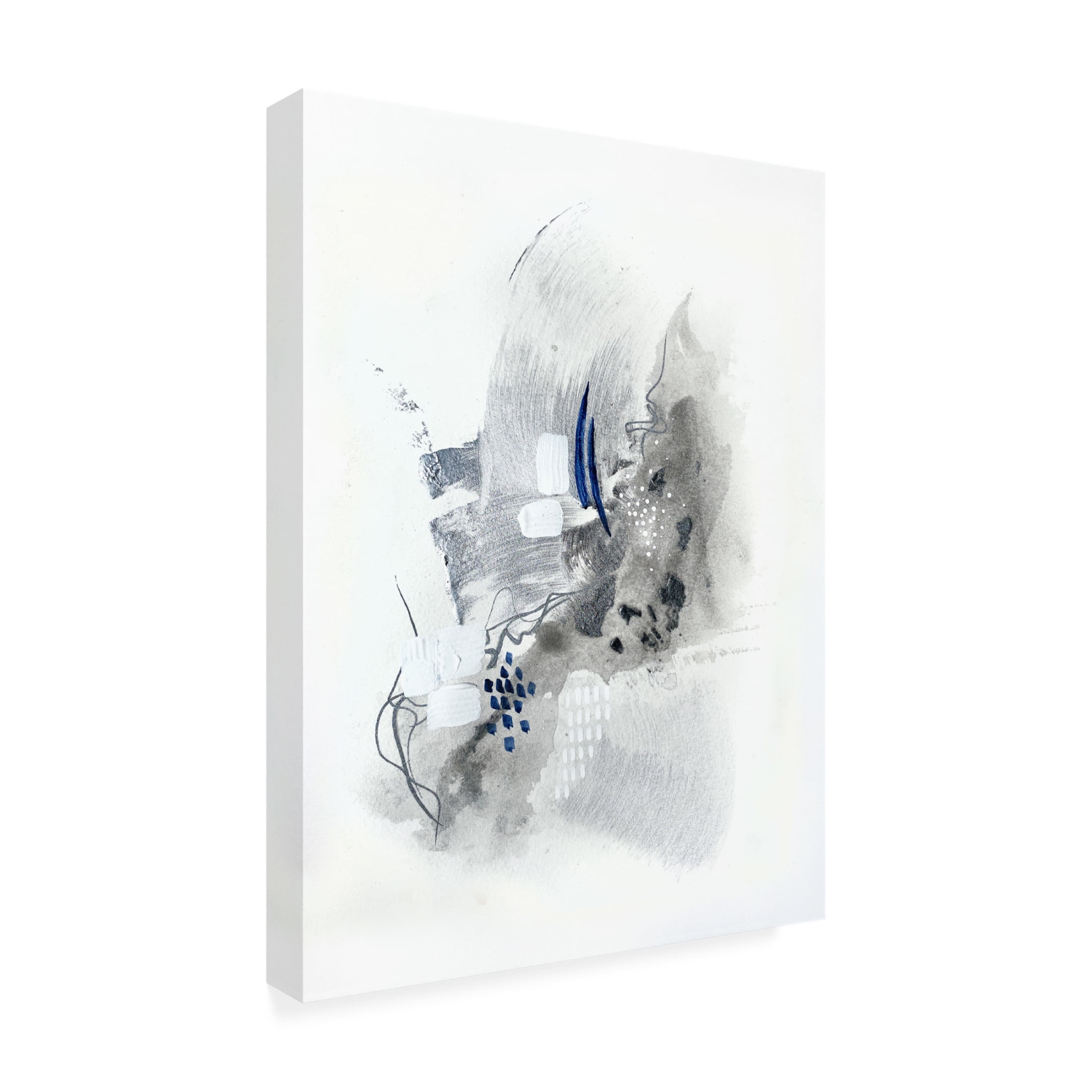 Trademark Fine Art Alyson Storms  Silver Springs 1 Canvas Wall Art