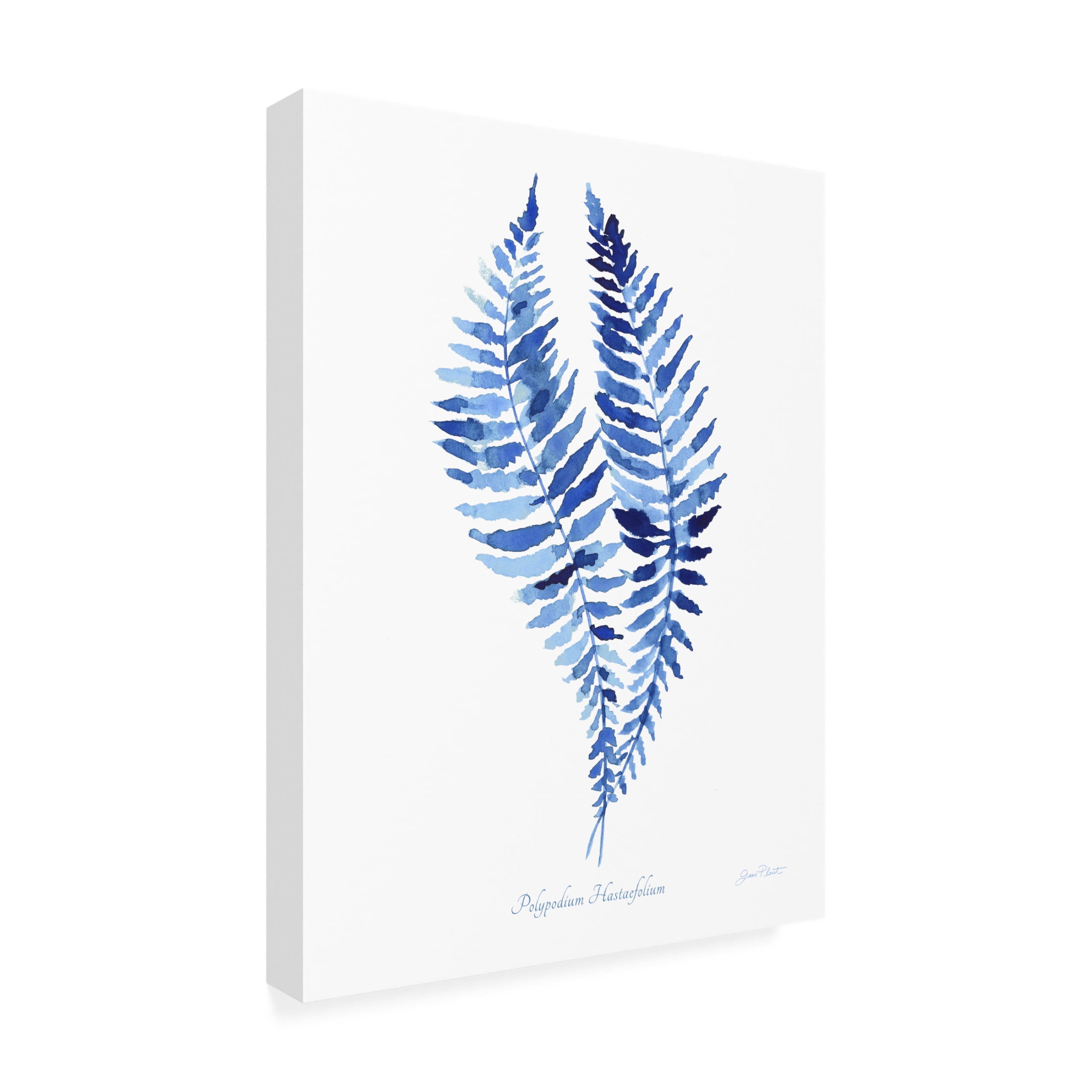 Canvas Wall Art - Jean Plout 'Indigo Botanical 4' Wall Art for Living Room, Bedroom, or Office Décor by Trademark Fine Art - 14 x 19 Inches