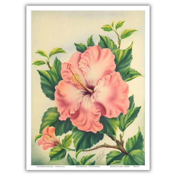 Pink Hibiscus Flowers - Hawai’i - Vintage Hawaiian Airbrush Art by Ted Mundorff c.1940s - Master Art Print (Unframed) 9in x 12in