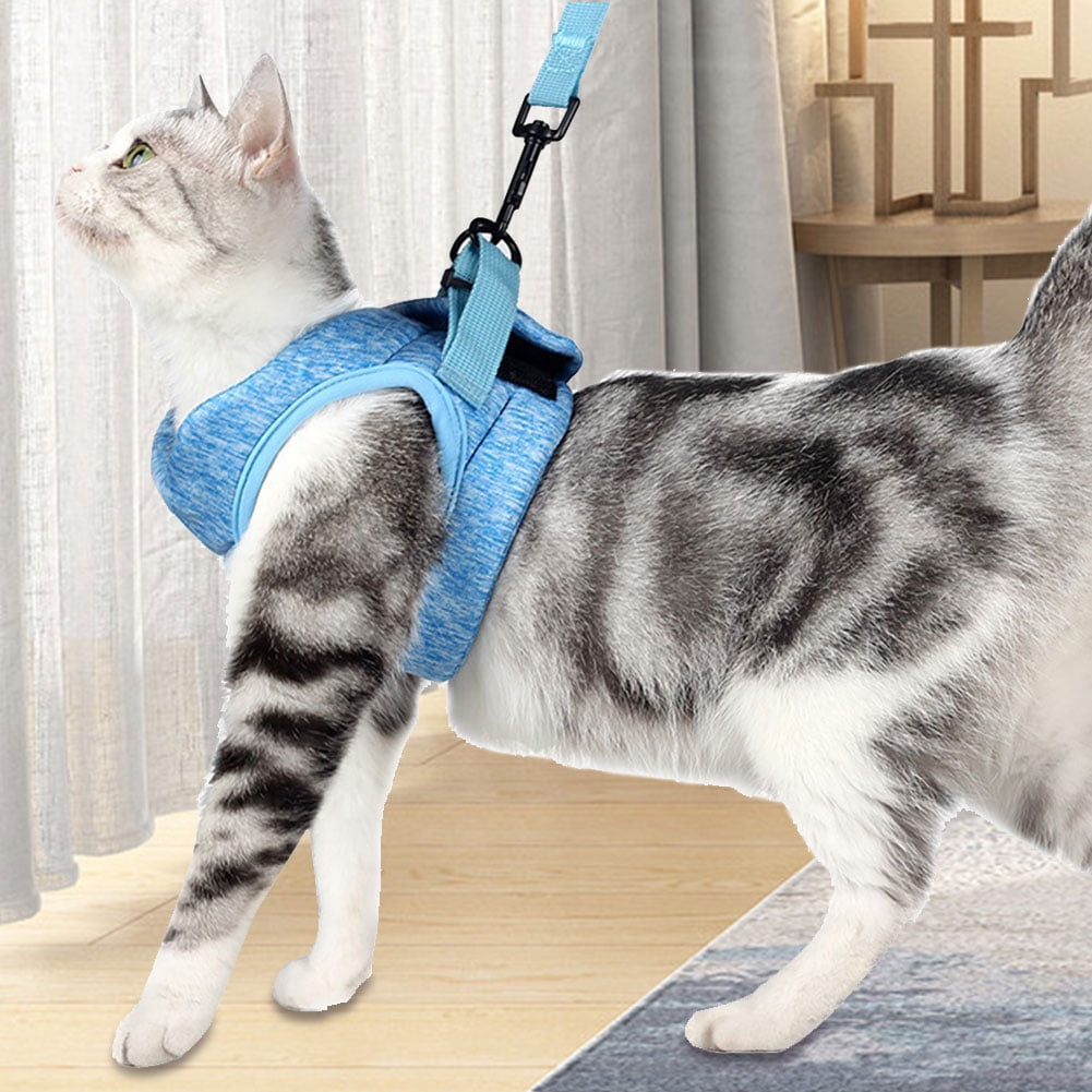 Padded Cat Vest Adjustable Cat Walking Jackets Escape Proof Cat Harness with Leash 