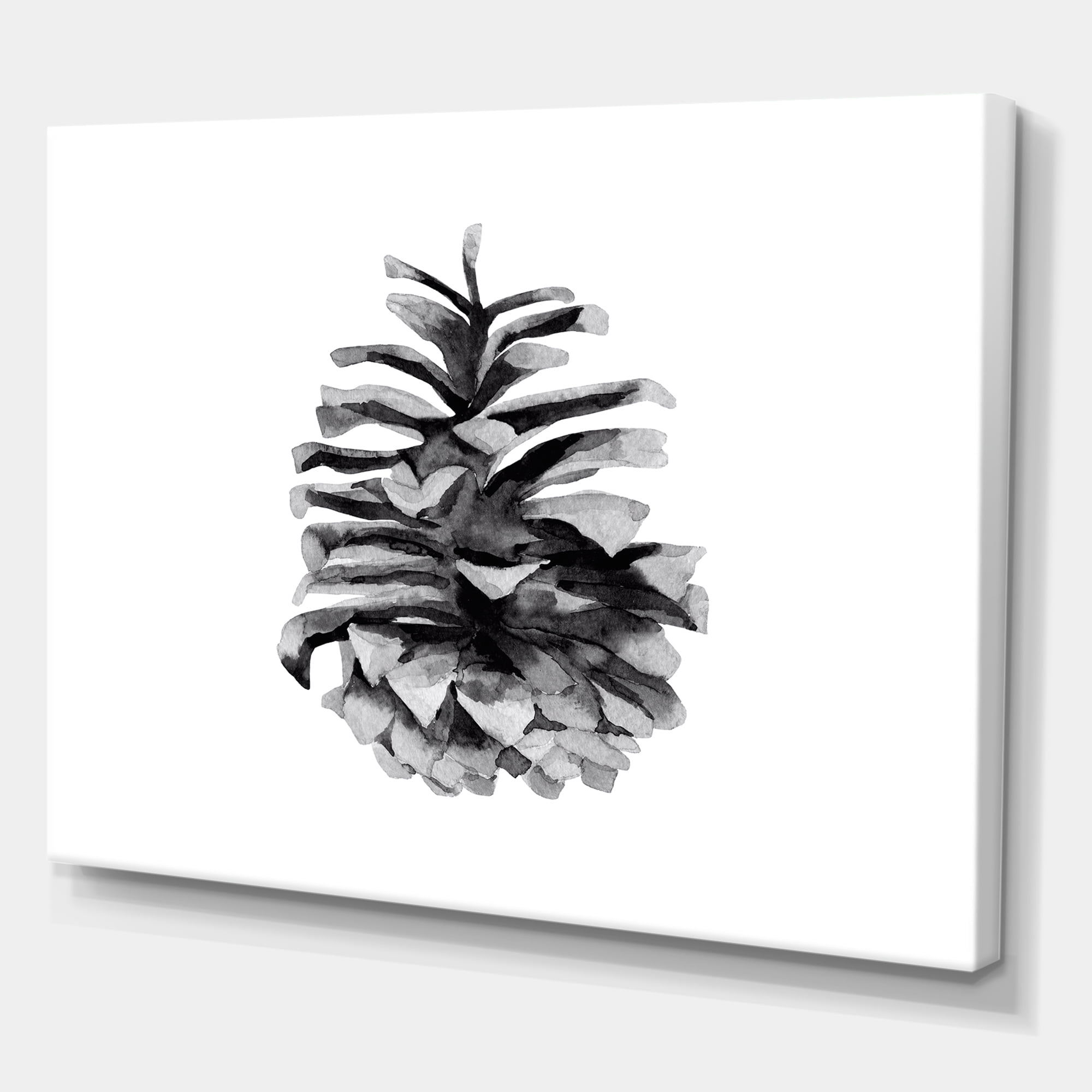 Designart ' Conifer Cone Black and White ' Traditional Canvas Wall Art Print