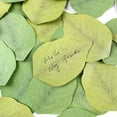 thumbnail image 4 of tredstone Tree Leaves Sticky Notes Memo Pad Self-Adhesive Bookmark Promotional Gifts Stationery, 4 of 9