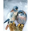 thumbnail image 2 of Shefranov, Olga 12x14 Gold Ornate Wood Framed with Double Matting Museum Art Print Titled - Speckle Chests II, 2 of 4