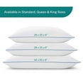 Sleep Innovations Premium Shredded Gel Memory Foam Pillows, Standard