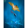 thumbnail image 2 of Krinke, Andreas 15x18 Black Ornate Wood Framed with Double Matting Museum Art Print Titled - Orange beauty, 2 of 4