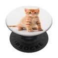 thumbnail image 1 of Empuñadura intercambiable PopSockets PopGrip para teléfonos y tabletas, 1 of 6