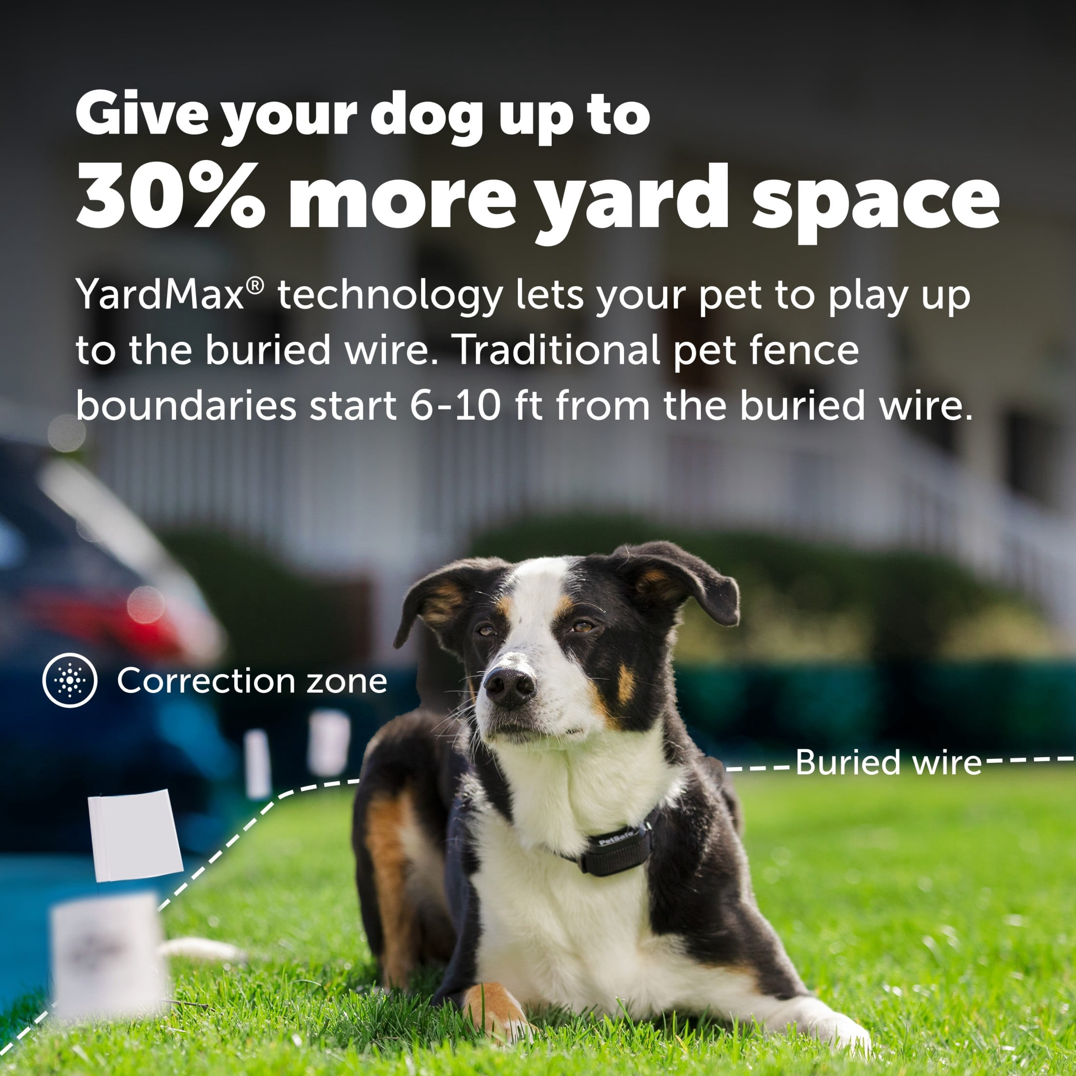 PetSafe YardMax Rechargeable In-Ground Fence for Dogs and Cats
