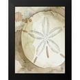 thumbnail image 2 of Popp, Grace 15x18 Black Modern Framed Museum Art Print Titled - Dry Sand Dollar II, 2 of 5