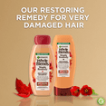 thumbnail image 4 of Garnier Whole Blends Restoring Repairing Conditioner Maple Remedy, All Hair Types, 12.5 fl. oz., 4 of 7