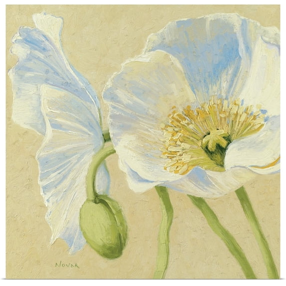 Great BIG Canvas | Rolled Shirley Novak Poster Print entitled White Poppies II