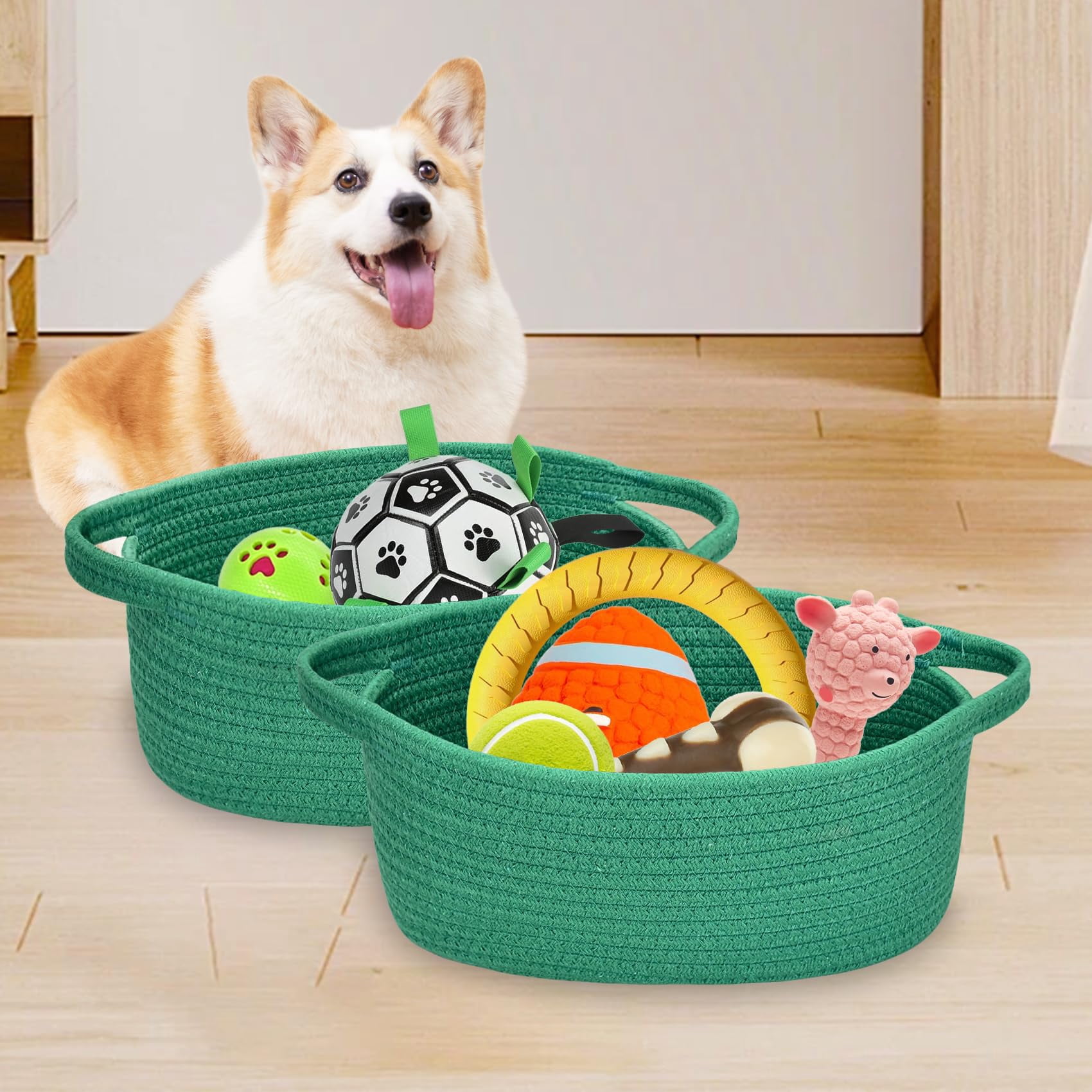 Small Basket with Handles, Boho Decorative Rope Woven Storage Bin Organizer, Pet Toy Storage, Easter and Holiday Gift Basket, 12"x8"x5", White