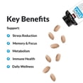 thumbnail image 2 of Suplemento Force Factor Amazing Ashwa 120 comprimidos, 2 of 5