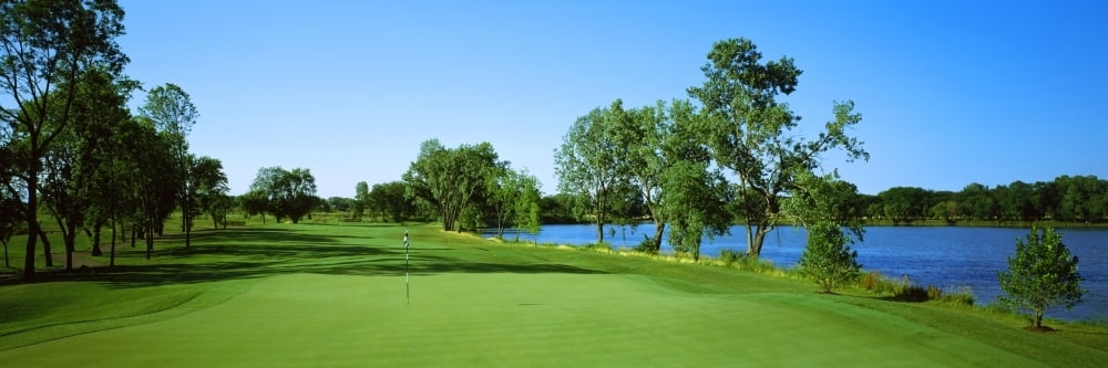 Trees In A Golf Course White Deer Run Golf Course Vernon Hills Illinois 