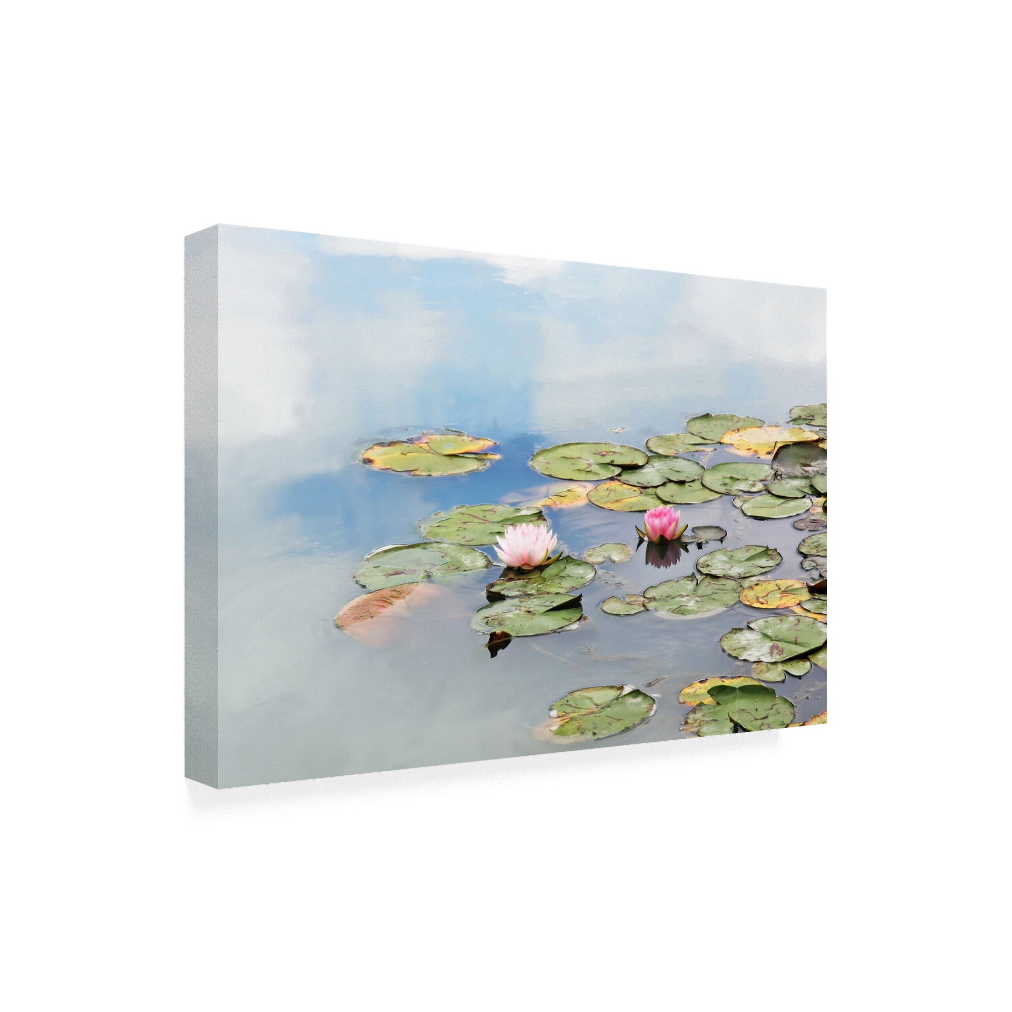 Trademark Fine Art 'Monets Garden Lily Pads' Canvas Art by Brooke T. Ryan