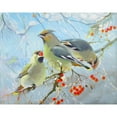 thumbnail image 3 of Pautov, Igor 18x15 Black Modern Framed Museum Art Print Titled - Waxwings, 3 of 5