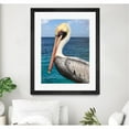 thumbnail image 2 of Giant Art 24x32 Pelican Matted and Framed in Multi-Color, 2 of 3