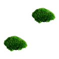 thumbnail image 4 of Inteprter Almohada musgo ecológico moño musgo para una encantadora decoración verde natural musgo decorativo verde natural Type1 NO1, 4 of 6