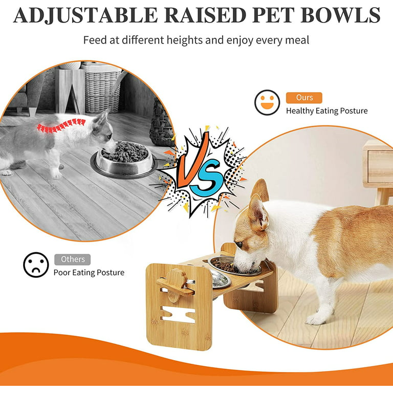 Elevated Dog Bowls, POLTSAK Adjustable Raised Dog Bowl for Small Dogs and  Cats, Durable Bamboo Cat Dog Food Bowl Stand Pet Feeder with 2 Stainless