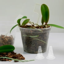 LOLIPPYY 10pcs Conical Planter Inserts for Pots with Transparent