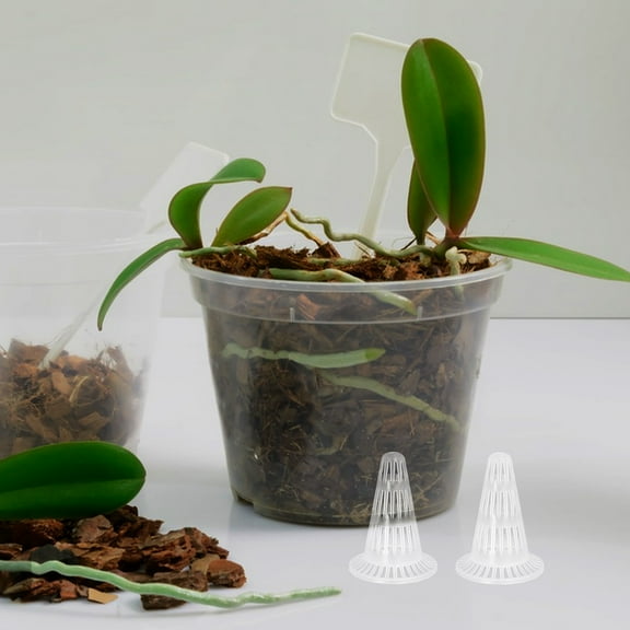 LOLIPPYY 10pcs Conical Planter Inserts for Pots with Transparent