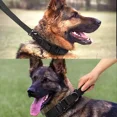 thumbnail image 2 of Collares Y Correas Para Perros Medianos Y Grandes, 2 of 7