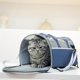 thumbnail image 1 of Bolsa de transporte plegable para gatos | Transportín de viaje portátil y transpirable para gatos y perros pequeños | Bolsa ligera de mano para mascotas al aire libre | Almacenamiento plegable para, 1 of 5