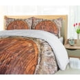 thumbnail image 5 of Ambesonne Rustic Duvet Cover Sets, Door Vintage, 2-Queen, Grey Orange, 5 of 7