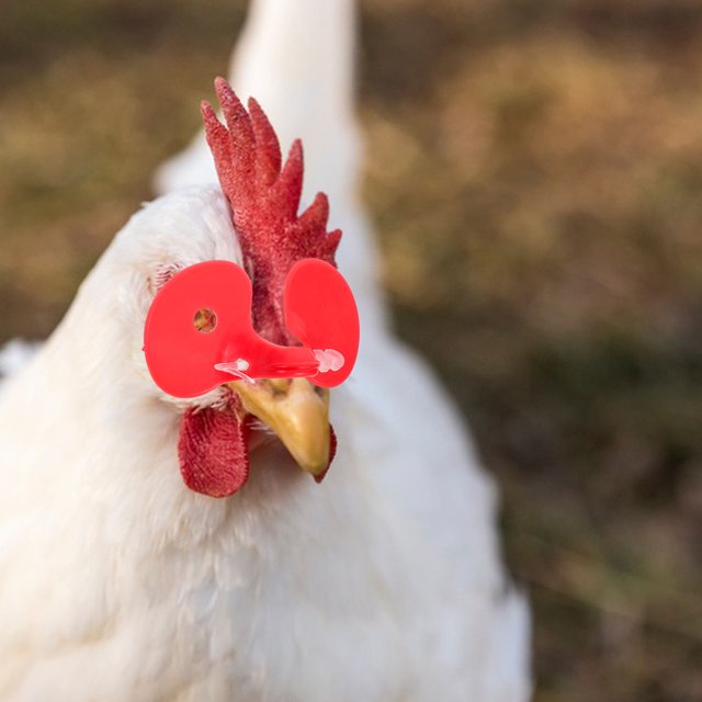 MERRYHAPY 100Ud Gafas Para Pollos Color Con Anti Picoteo Para Granjas Avícolas Duraderas
