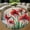 Amaryllis Flowers, variant on Circle Area Rug, Sun Washable Non-Slip Floor Carpet, Soft Rug for Living Room Bedroom Decor 24 Inch