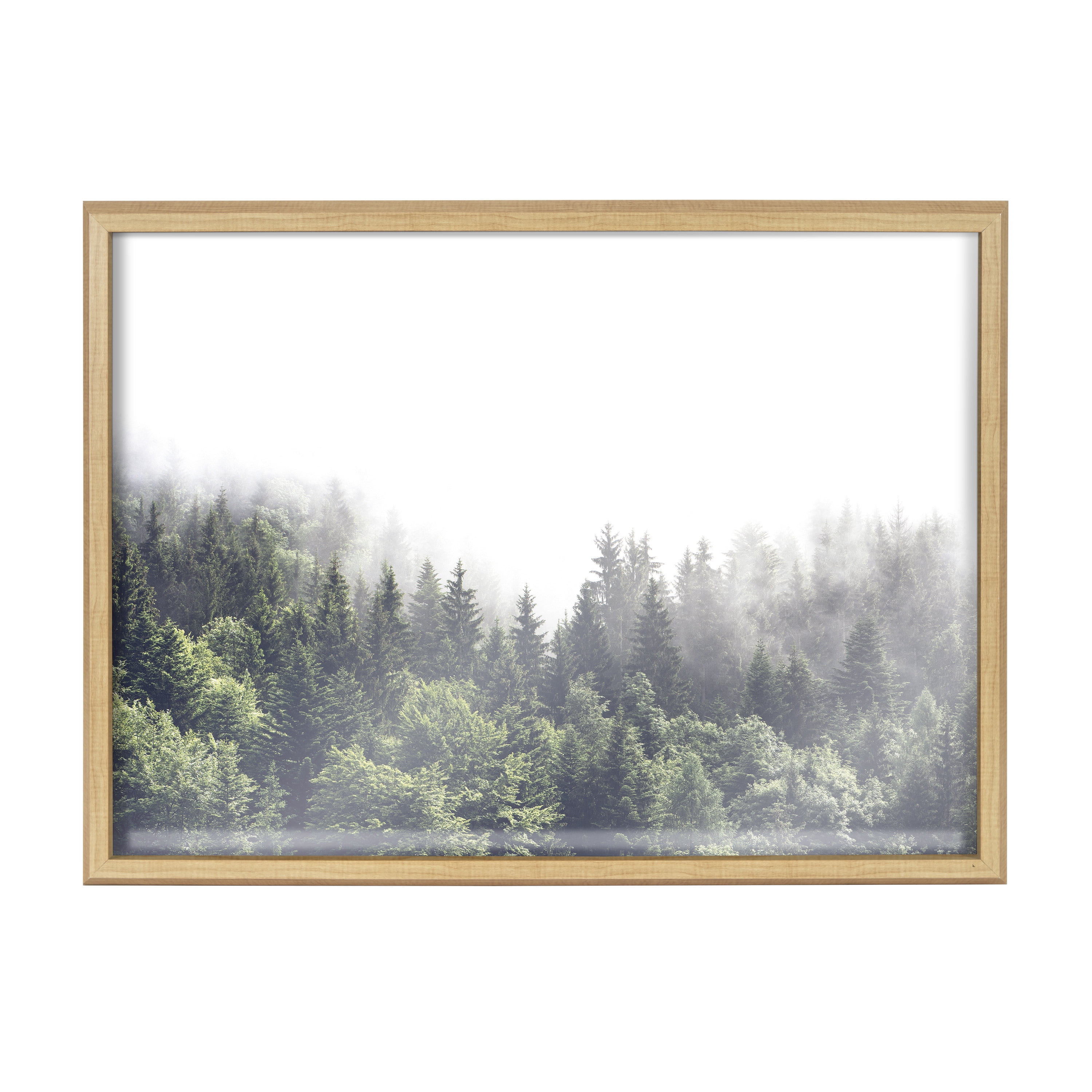 Blake Lush Green Forest on a Foggy Day 24 in x 18 in Framed Photography Art Prints, by Kate and Laurel