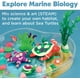 HHHC Créer avec le Lagon de Tortues d'Argile U2013 Artisanat de Biologie Marine pour les Enfants - Construire un Habitat de Tortues de Mer avec de l'Argile, Multi (6238000) – image 3 sur 6