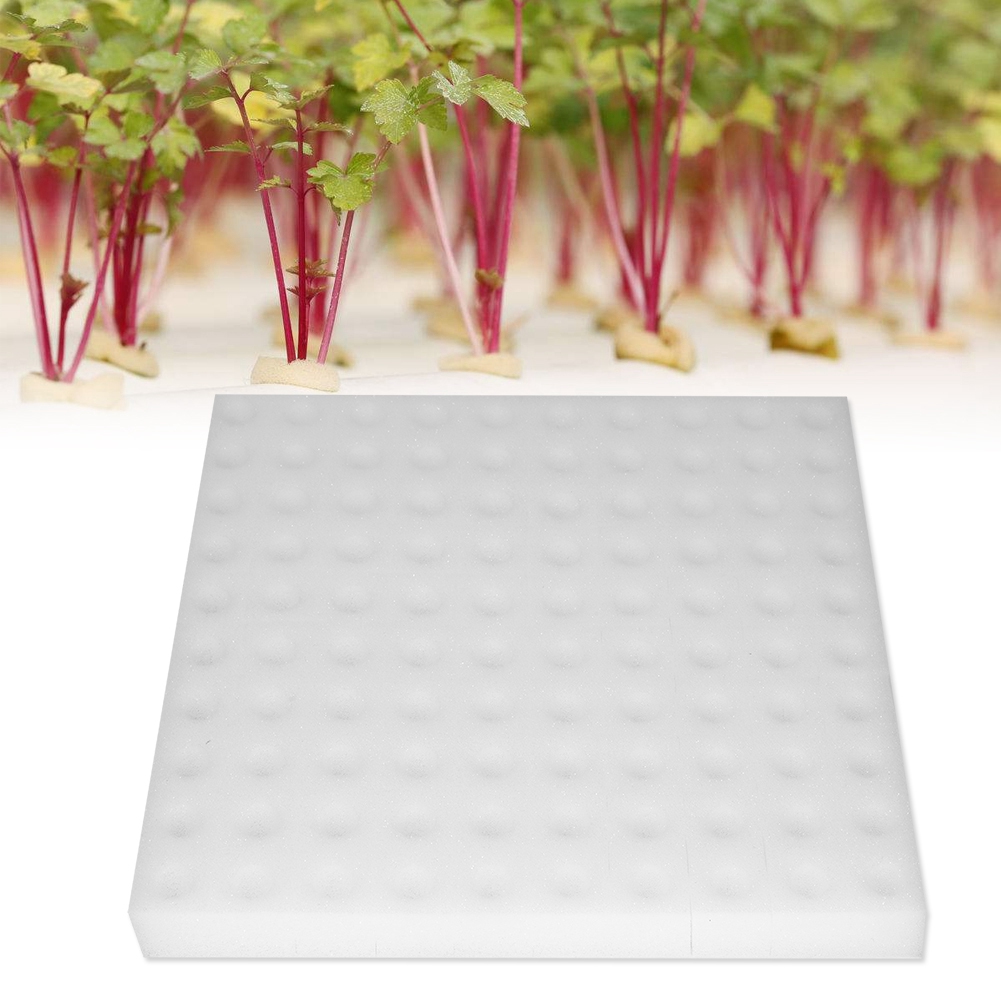 LYUMO 100Pcs Hydroponic Sponge Planting Gardening Tool Square Seedling