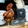 thumbnail image 3 of Muck Chore Classic Men's Rubber Work Boots, 3 of 5