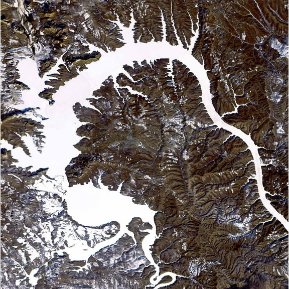 Buell Dragon Wall Decal