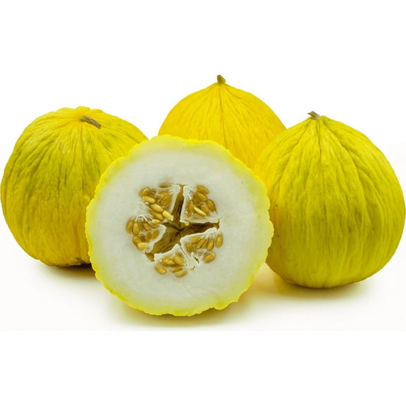 Cantaloupe Melon Casaba Golden Beauty Great Heirloom Vegetable by Seed Kingdom (1/4 Lb Seeds)