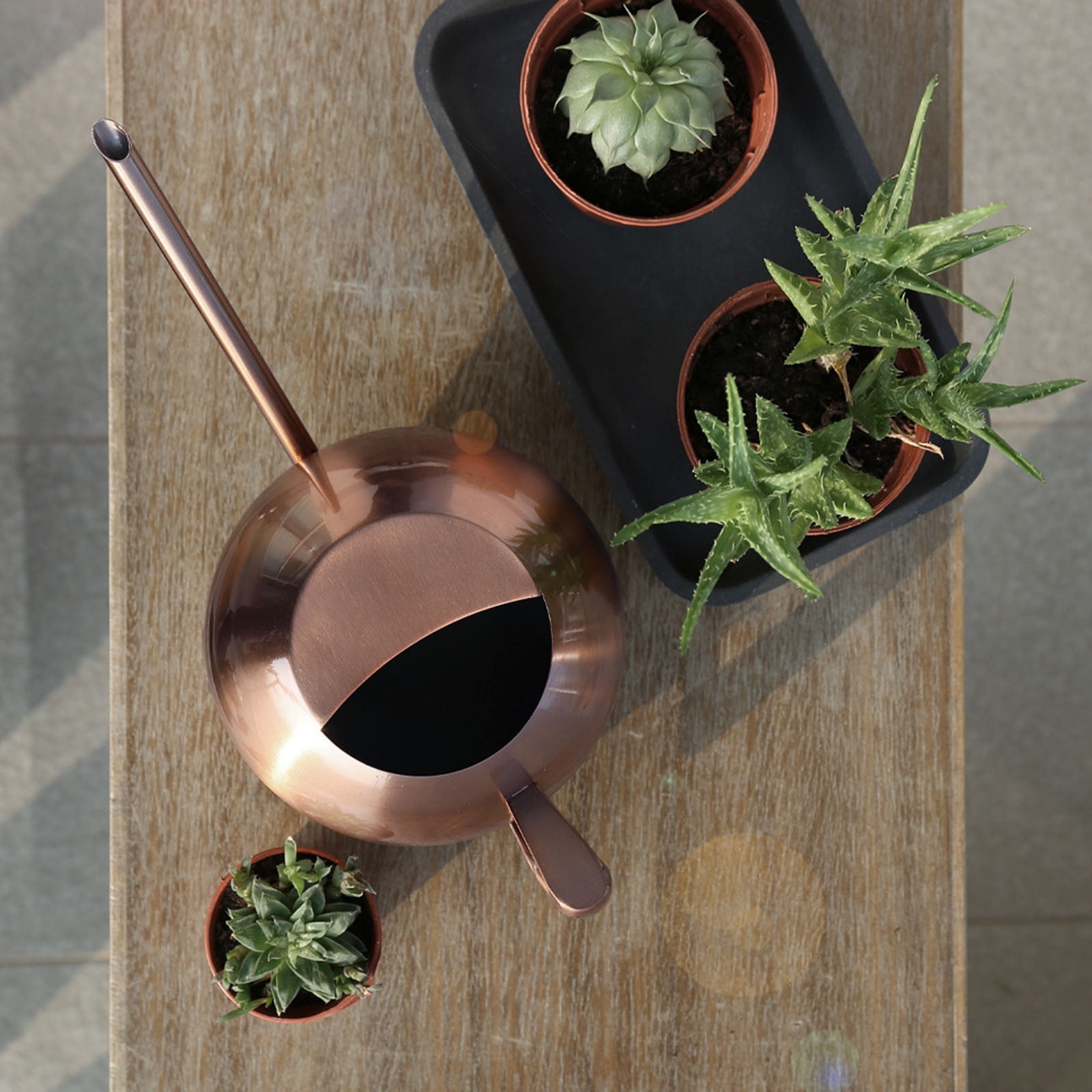 Jubipavy Stainless Steel Watering Can - 1L Metal Watering Can With Long Spout To Spillage Perfect Plant Watering Can For Outdoor And Indoor Plants Gift Home Saving