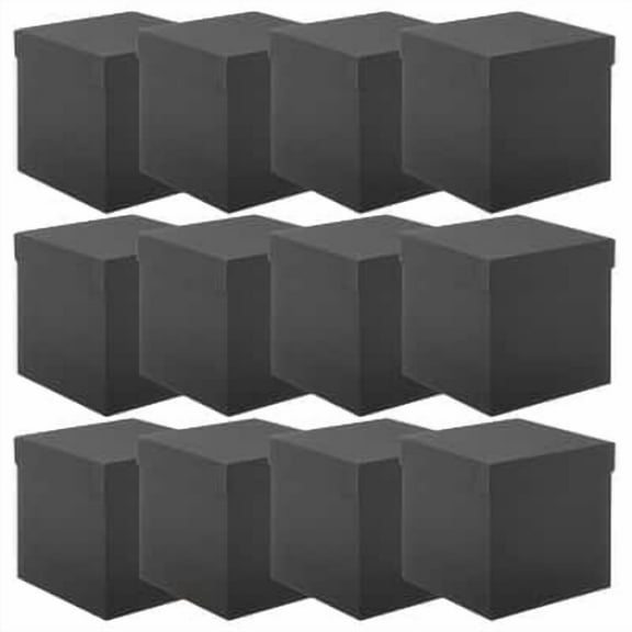 12 Pack: Black Box by Celebrate It