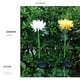 thumbnail image 4 of Lámpara Solar de crisantemo, 2 uds., luz de jardín, flores artificiales, césped, paisaje, jardín, decoración exquisita, creativa Iluminación y accesorios Crisantemo blanco Crisantemo Blanco Advancent HA073440-01, 4 of 6