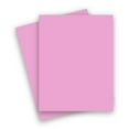 thumbnail image 1 of Popular PINK COTTON CANDY 8.5X11 (Letter) Paper 65C Lightweight Cardstock - 250 PK -- Econo 8-1/2-x-11 Letter size Card Stock Paper - Business DIY and more, 1 of 2