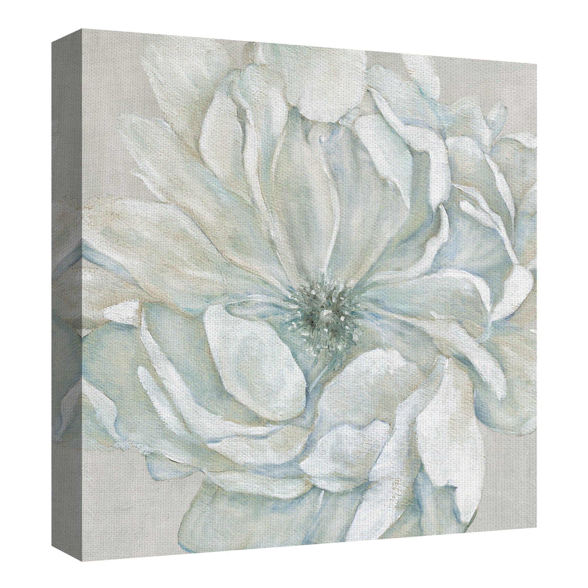 Masterpiece Art Gallery Morning Flower Petals I Square By Carol Robinson Canvas Art Print24" x 24"
