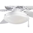 thumbnail image 4 of AirPro Collection Two-Light Ceiling Fan Light, 4 of 4
